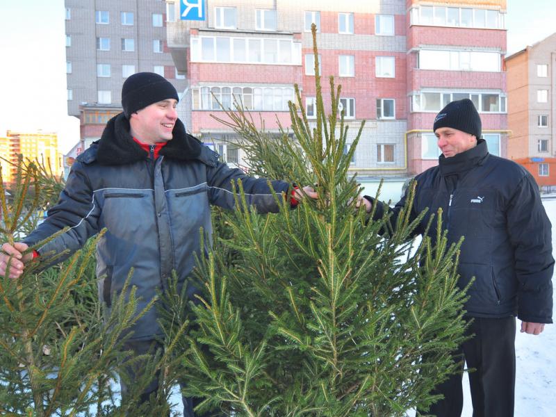 В Чебоксарах заработали елочные базары